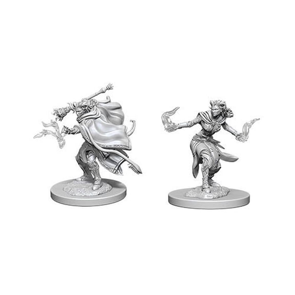 WizKids WZK73389 Female Tiefling Warlock W6 Dungeons & Dragons Nolzurs Marvelous Miniatures