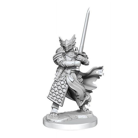 WizKids WZK75022 Male Dungeons & Dragons Frameworks Wave 1 Dragonborn Paladin Miniatures