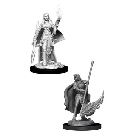 WizKids WZK90044 Pathfinder Deep Cuts & Female Human Oracle W11 Miniature