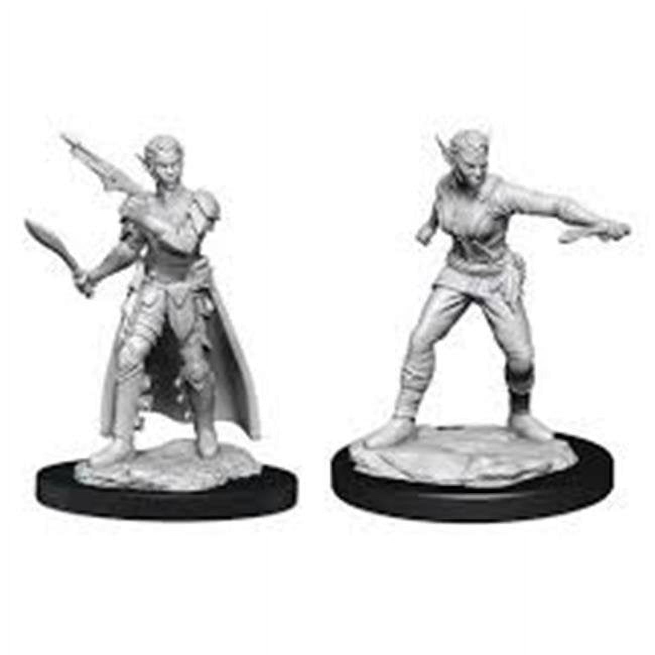 WizKids WZK90148 Dungeons \u0026 Dragons Shifter Rogue Female W13 Nolzurs Marvelous Miniatures