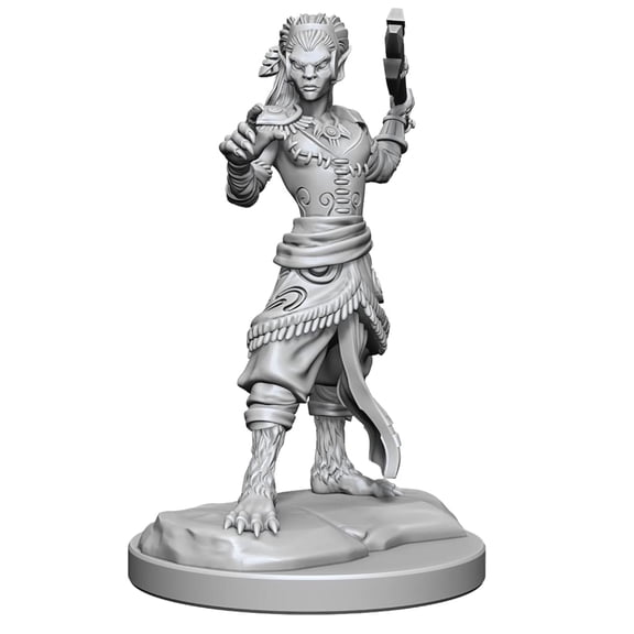WizKids D&D Nolzurs Marvelous Miniatures: Shifter Fighter