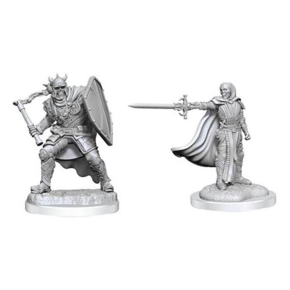 WizKids WZK90616 Dungeons & Dragons Nolzurs Marvelous Retail Reorder Cards W20 Miniature