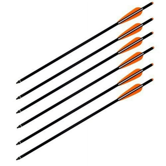 Wizard Carbon Fiber Crossbow Bolts - 6/Pack (20")