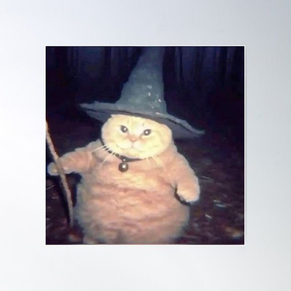 Wizard Cat Poster Wall Art, Modern Wall Decor For Living Room Bedroom, 24x24 UNFRAMED