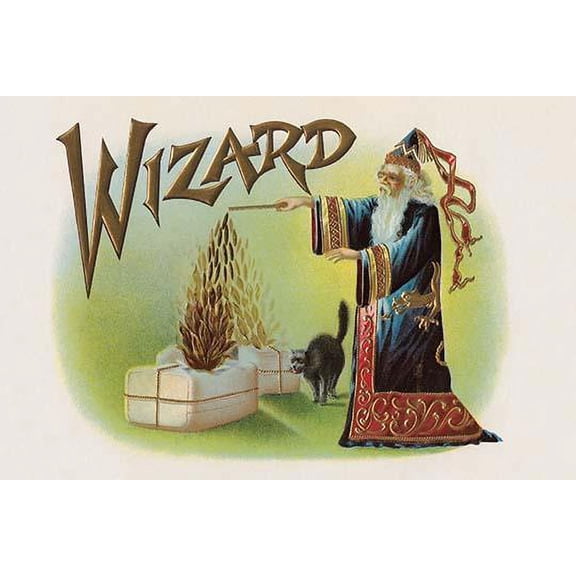 Wizard-Fine Art Canvas Print (20" x 30")