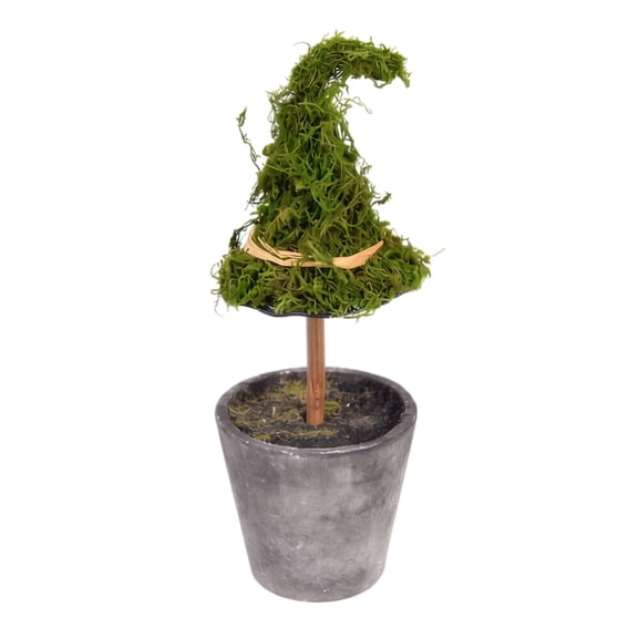 Wizard Hat Moss Potted Ornament,Halloween Mini Witch Hat Tabletop Decor,Retro Forest Style Artificial Potted Plant for Home Party Scene Arrangement