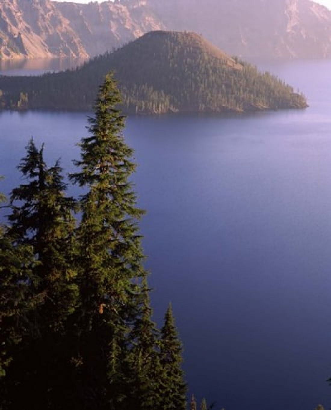 Wizard Island from Rim Village in the Crater Lake Crater Lake National Park Oregon USA Canvas Art - Panoramic Images (30 x 36)