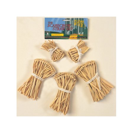 Rubies Costumes 526 The Wizard of Oz - Scarecrow Straw Accessory Kit Costume