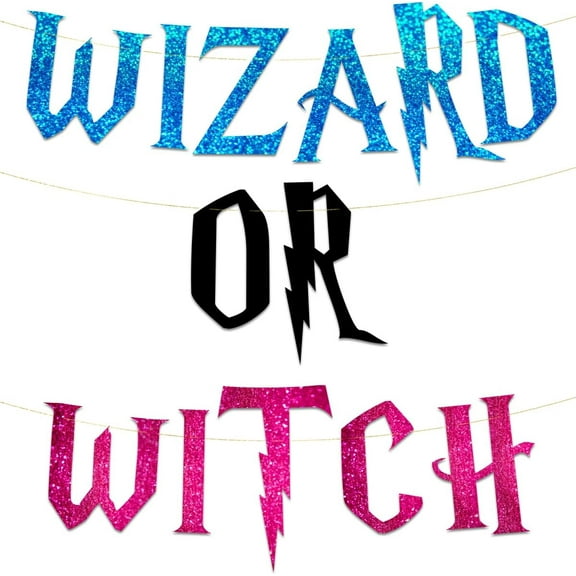 Wizard Or Witch Gender Reveal Party Banner Pink and Blue Baby Shower Decorations, Supplies, Gifts, Ideas and Games