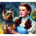 thumbnail image 1 of The Wizard of Oz 5D Diamond Painting Tools for Adults DIY Diamond Art Tools for Beginners with Round Full Diamond Diamond Gemstones Home Wall Painting Art Decoration Gift Artwork, 1 of 5