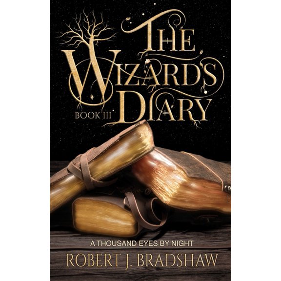 Wizard's Diary A Thousand Eyes By Night, Book 3, (Paperback)