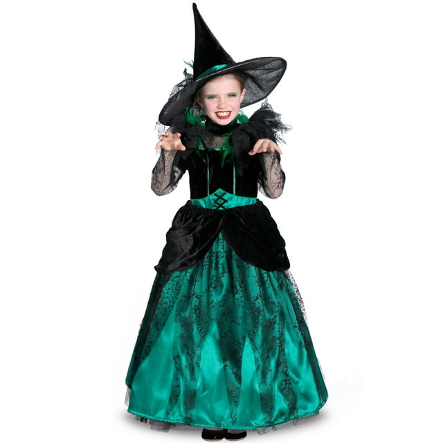 Wizard of Oz Deluxe Wicked Witch of the West Girls' Child Halloween ...