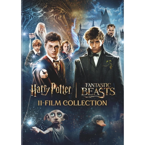 Harry Potter and Fantastic Beasts 11-Film Collection (DVD)