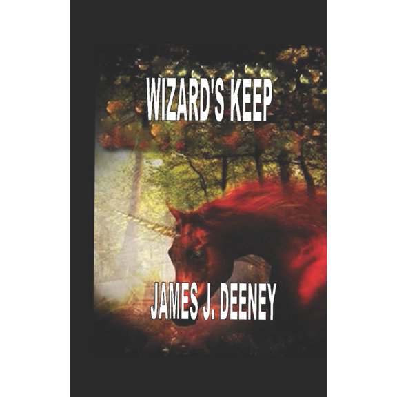 Wizards Keep (Paperback)