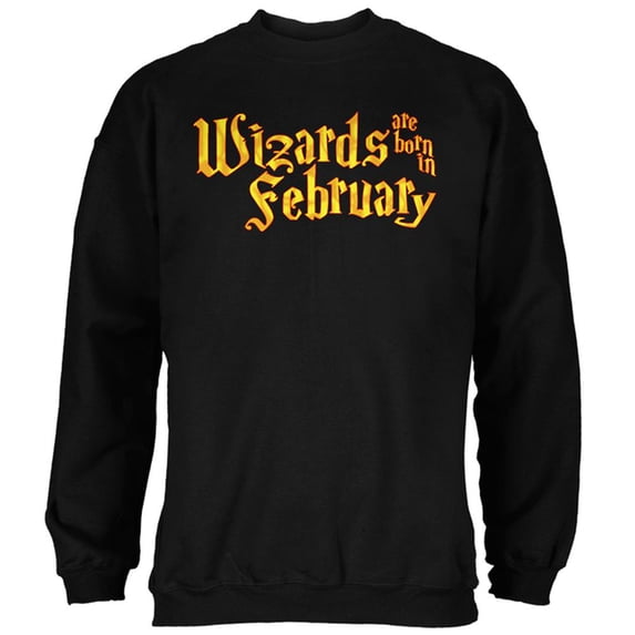 Wizards are born in February Mens Sweatshirt Black SM