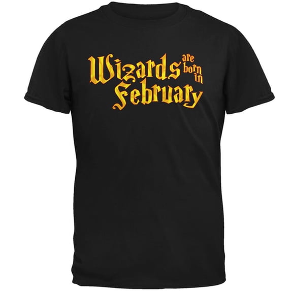 Wizards are born in February Mens T Shirt Black X-LG
