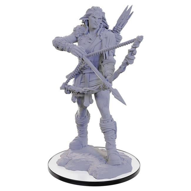 WizKids Pathfinder Deep Cuts Wave 22 WizKids Pathfinder Deep Cuts Wave 22