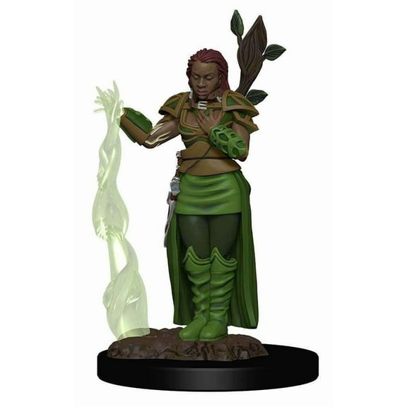 Dungeons & Dragons Premium Miniatures Human Druid Pre-Painted Figure