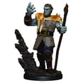 thumbnail image 1 of Wizkids Premium Painted D&D Miniatures 93013 Firbolg Druid, 1 of 1