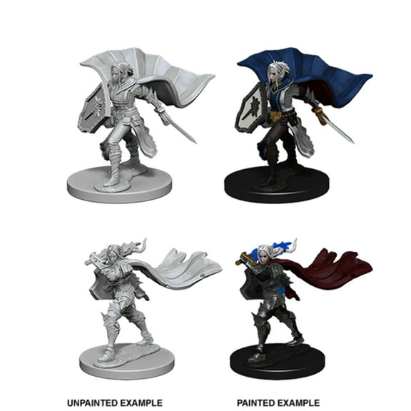 Pathfinder Roleplaying Game Unpainted Miniatures: Elf Female Paladin
