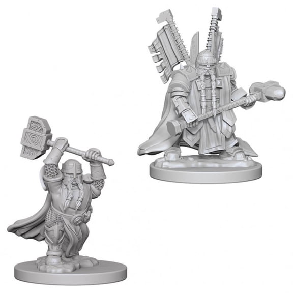 Wizkids WZK72630 Dungeons & Dragons Nolzurs Marvelous Miniaturess of Dwarf Male Paladin W4