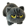 thumbnail image 1 of Wizlet 25.6 in Cute Grey Cat Plush Pillow, Kawaii Plushies Grey Cat Stuffed Animals, Squishy Plushies, Cuddle Plush Pillow for Kids & Girls Gray, 1 of 7