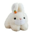thumbnail image 1 of Wizlet 7.8in Adorable Bunny Stuffed Animal Soft Rabbit Plush Toy for Valentine's Day Birthday Easter Best Gifts (White), 1 of 5