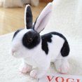 thumbnail image 1 of Wizlet Realistic Spotted Rabbit Plush Stuffed Animal, 11.8 Inch Fluffy Bunny Plush Toy, Cute Wildlife Doll Gift-Black, 1 of 7