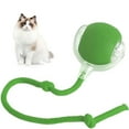 Wldoasz Interactive Cat Ball Toy, 2024 New Automatic Moving Dog Cat