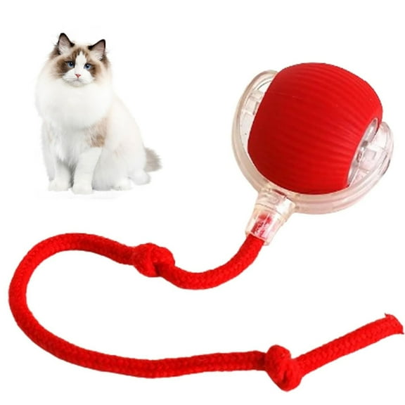 Wldoasz Interactive Dog Ball, Active Rolling Ball for Dogs, Lettuce Pets, Cat Toys Rolling Ball, Smart Interactive Dog Toys, Electric Cat Toy Ball Rechargeable (Red)