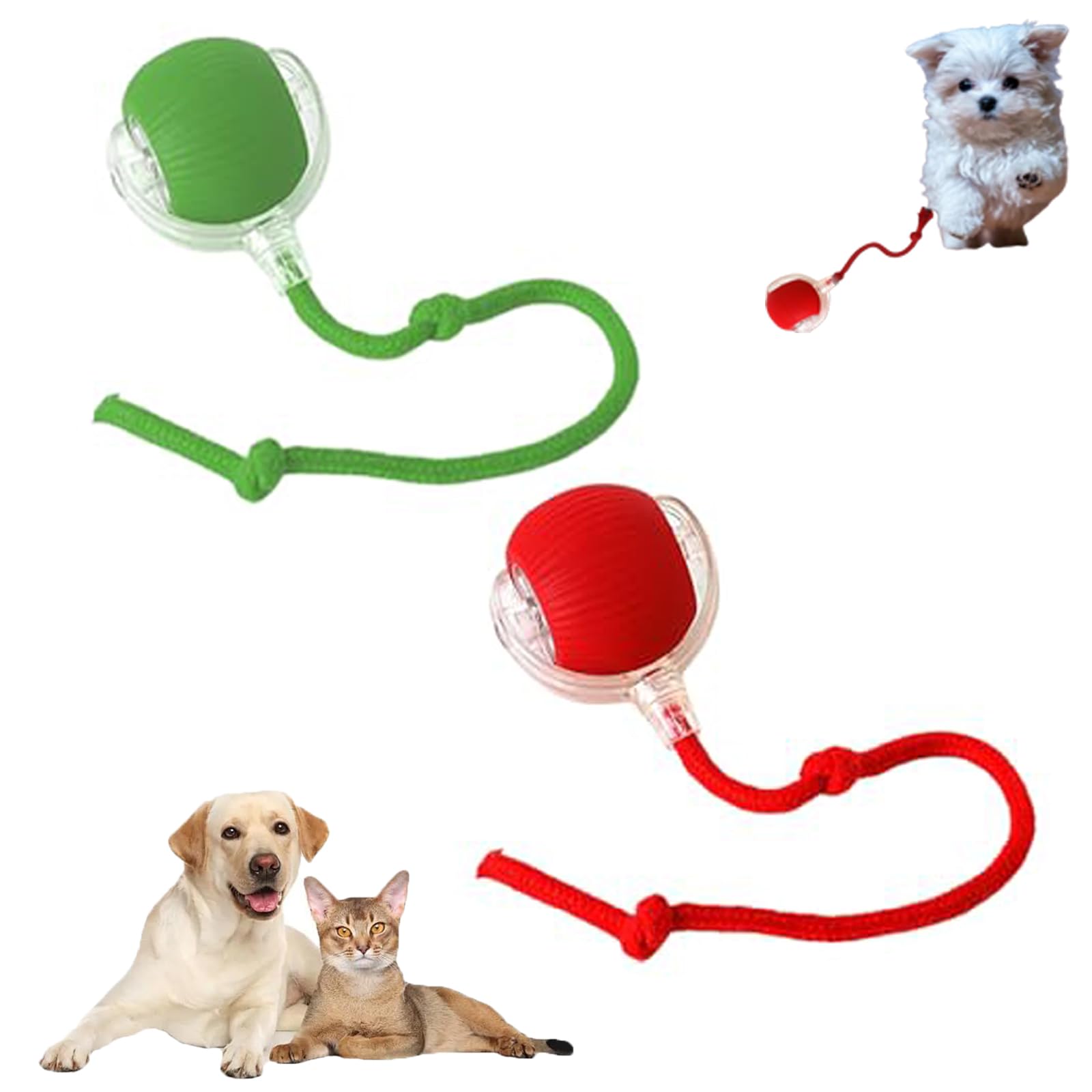 Interactive Rolling Dog Ball, Interactive Rolling Ball Dog Toy, Chewy