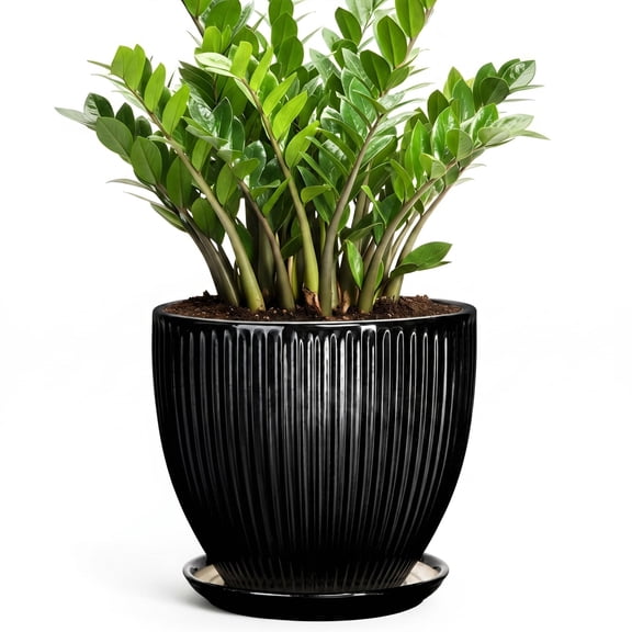 Wliror 10 Inch Black Ceramic Plant Pot with Drainage – Large Sleek Modern Planter for Indoor Plants, Floor Use