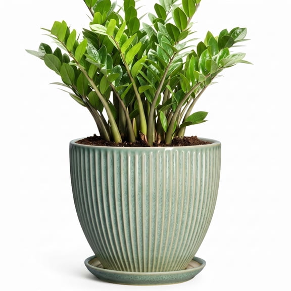 Wliror 10 Inch Green Ceramic Plant Pot with Drainage – Large Solid Green Planter for Indoor Plants, Fiddle Leaf Figs, Palms
