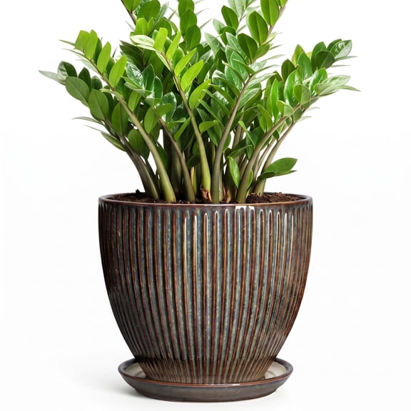 Wliror 10 Inch Retro Brown Ceramic Planter with Drainage – Large Rustic Flower Pot for Indoor Plants, Floor Use