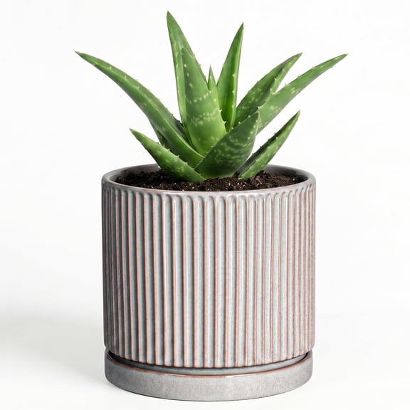 Wliror 4-inch Grey Ceramic Round Planter with Drainage Hole and Saucer