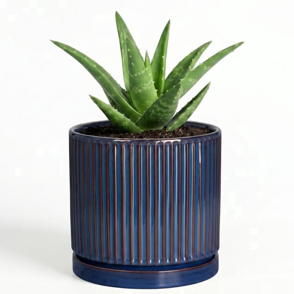 Wliror 4 Inch Retro Blue Ceramic Planter Pot with Drainage Hole & Saucer, Decorative Indoor Flower Pot for Succulent Cactus Herb Desk Windowsill Decor