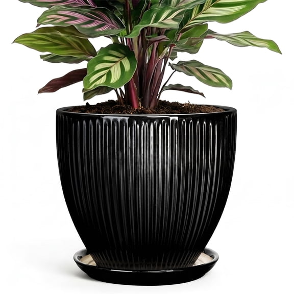 Wliror 6 Inch Black Ceramic Plant Pot with Drainage – Sleek Modern Planter for Indoor Plants, Succulents, Cactus