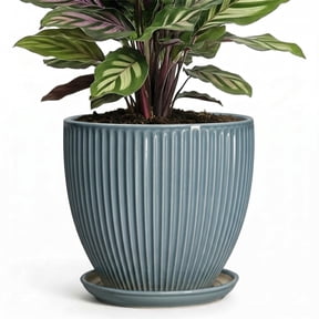 Wliror 6 Inch Glaze Blue Ceramic Plant Pot with Drainage – High‑Gloss Shiny Planter for Indoor Plants, Succulents, Herbs