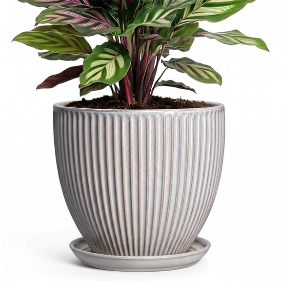 Wliror 6 Inch Grey Ceramic Plant Pot - Small Round Planter with Drainage for Succulent Cactus Orchid, Modern Flower Pot for Indoor Outdoor Home Decor