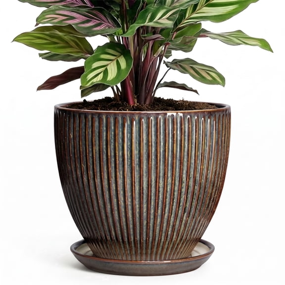 Wliror 6 Inch Retro Brown Ceramic Planter with Drainage Saucer – Rustic Round Flower Pot for Succulents, Cactus, Herbs
