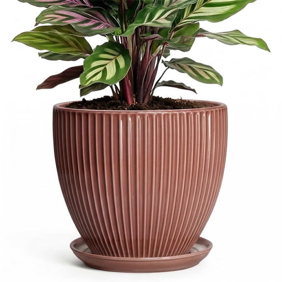 Wliror 6 Inch Rust Red Ceramic Plant Pot with Drainage – Terracotta‑Like Planter for Indoor Plants, Succulents, Cactus