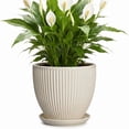 thumbnail image 1 of Wliror 8 Inch Cream White Ceramic Planter with Drainage – Warm Off‑White Flower Pot for Indoor Plants, Fiddle Leaf Figs, Ferns, 1 of 7