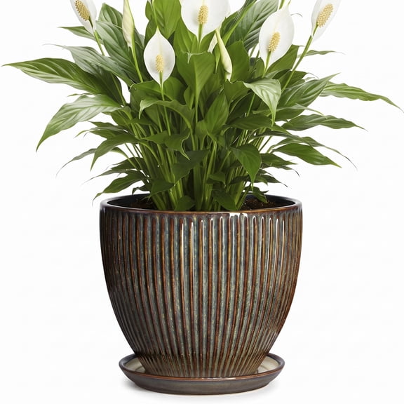 Wliror 8 Inch Retro Brown Ceramic Planter with Drainage – Rustic Speckled Flower Pot for Indoor Plants, Ferns, Snake Plants