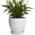 thumbnail image 1 of Wliror 8-inch White Ceramic Round Planter with Drainage, 1 of 7