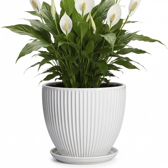 Wliror 8-inch White Ceramic Round Planter with Drainage