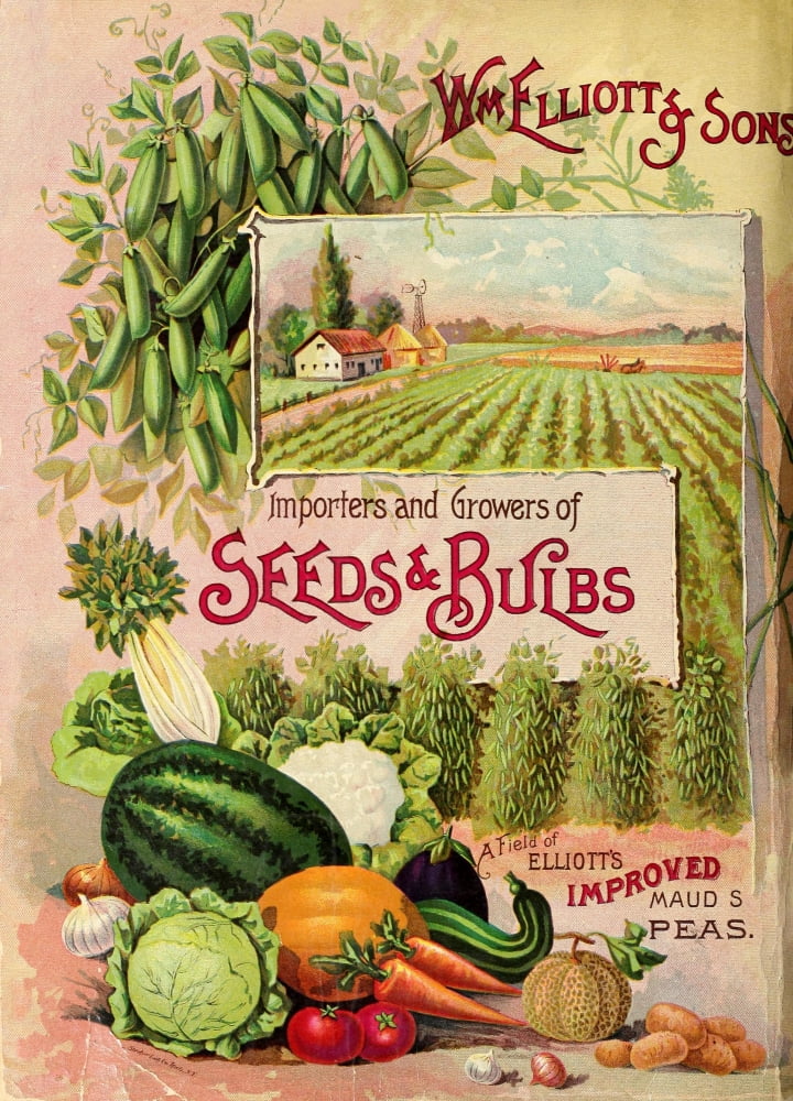 Wm Elliott & Sons Catalogue 1893 Cover with Vegetables Canvas Art -  (18 x 24)