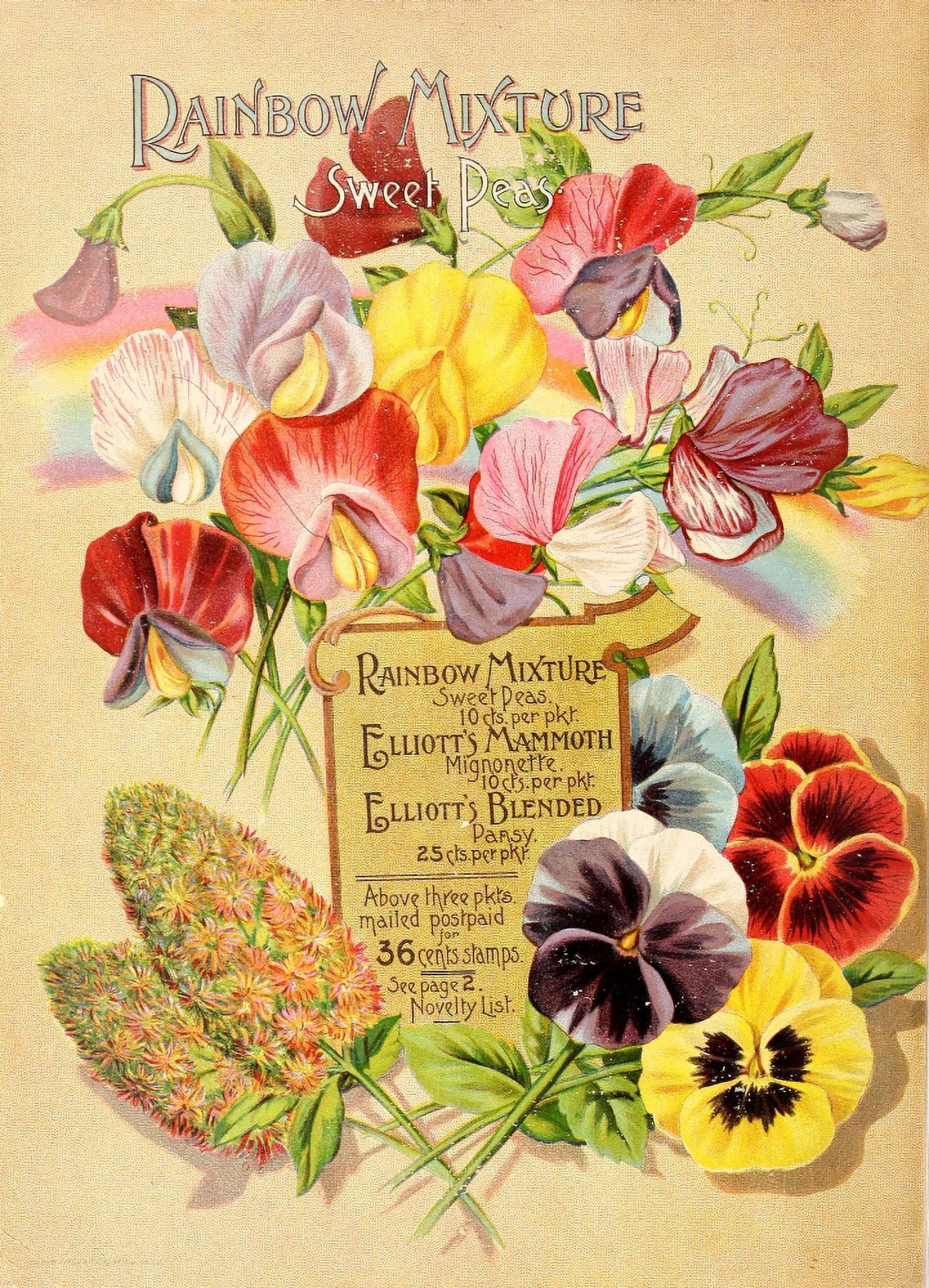 Wm Elliott & Sons Catalogue 1894 Flowers Canvas Art - (24 x 36)