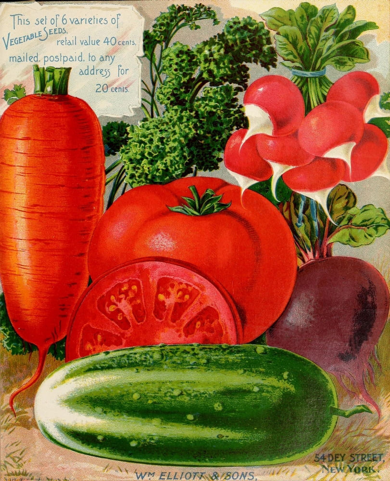 Wm Elliott & Sons Catalogue 1897 Vegetables Canvas Art - (18 x 24)