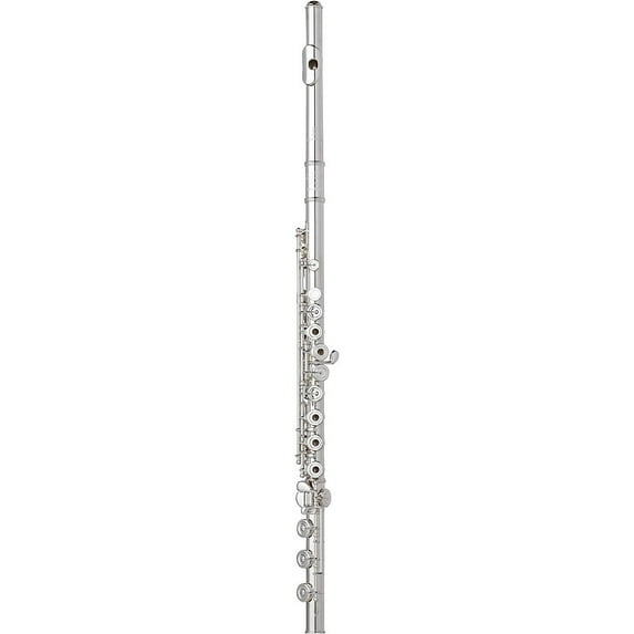 Wm. S Haynes Amadeus Flute Intermediate AF580-BO Sterling Silver Riser and Lip