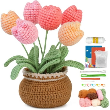 Wnngxing Beginner Crochet Kit with 6 Colors of Yarn & Video Tutorials